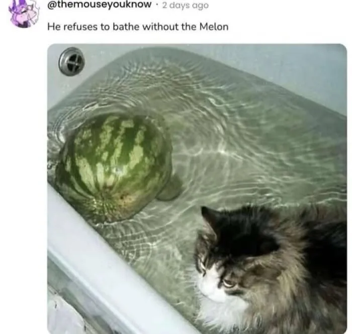 50 Funny Memes That Might Leave You Weirdly Hungry, Shared On The ‘Cursed Food’ Page