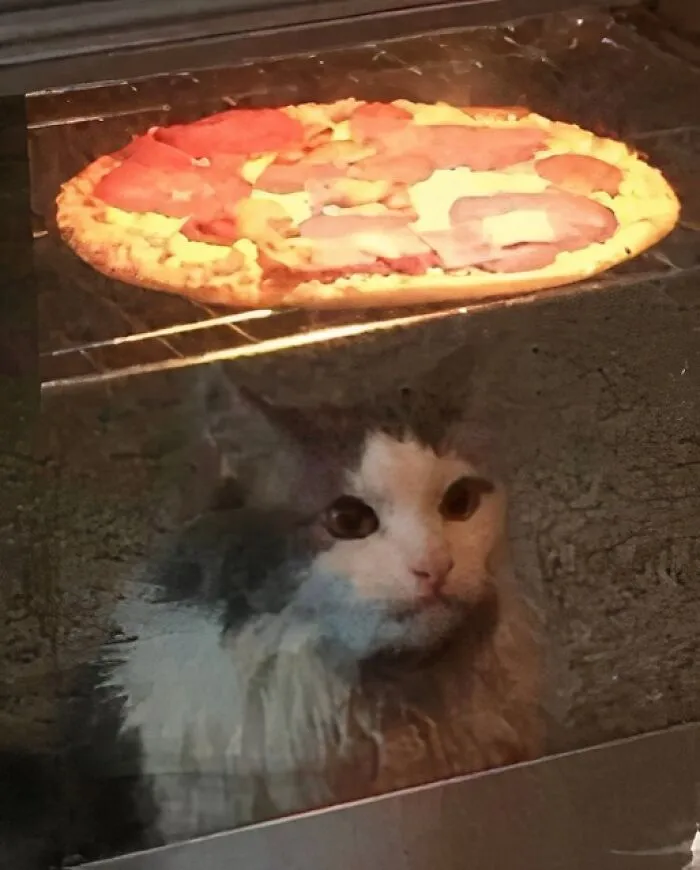 50 Funny Memes That Might Leave You Weirdly Hungry, Shared On The ‘Cursed Food’ Page