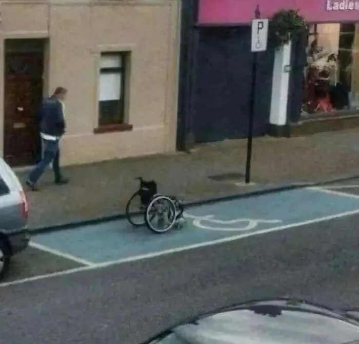 Deeply Cursed Images That Defy All Logic