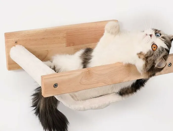 Let Your Cat Achieve Peak Smug Loaf Formation High Above The Fray In An Aesthetically Pleasing <a Style="Display:inline;" Href="Https://Www.amazon.com/Dp/B08k31zxkn?ascsubtag=7489171%2c12%2c28%2cd%2c0%2c0%2c0%2c1396%3a1%3b900%3a2%3b974%3a1%3b1338%3a1%2c33142820%2c0%2c0%2cgoogle&btn_ref=srctok-8d57b0c009c0d898&th=1&linkcode=ll1&tag=bpgazelle-20&linkid=bcf681112446376fb46e5ca02bbc27c3&language=en_us&ref_=as_li_ss_tl" Target="_blank"><span Style="Font: Inherit; Color: #d74b1f;"> Wall Mounted Wood And Fluffy Cat Hammock </Span>