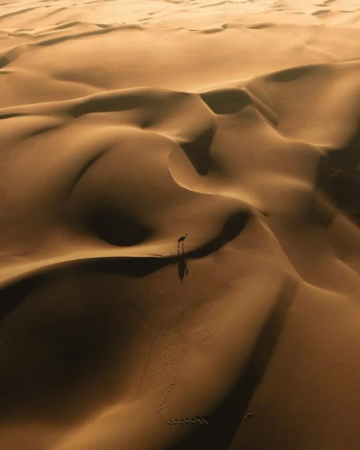 30 Aerial Photographs By This Photographer That Capture Stillness And Scale