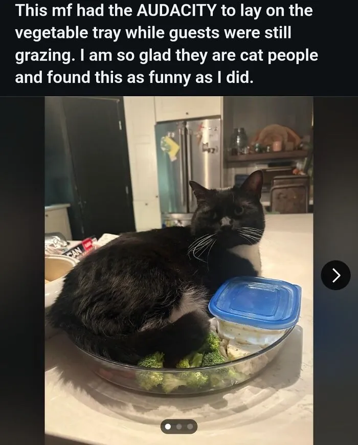 "This Is Why I Don't Do Potlucks": 50 Times Food Looked So Bad, People Just Had To Shame It (New Pics)