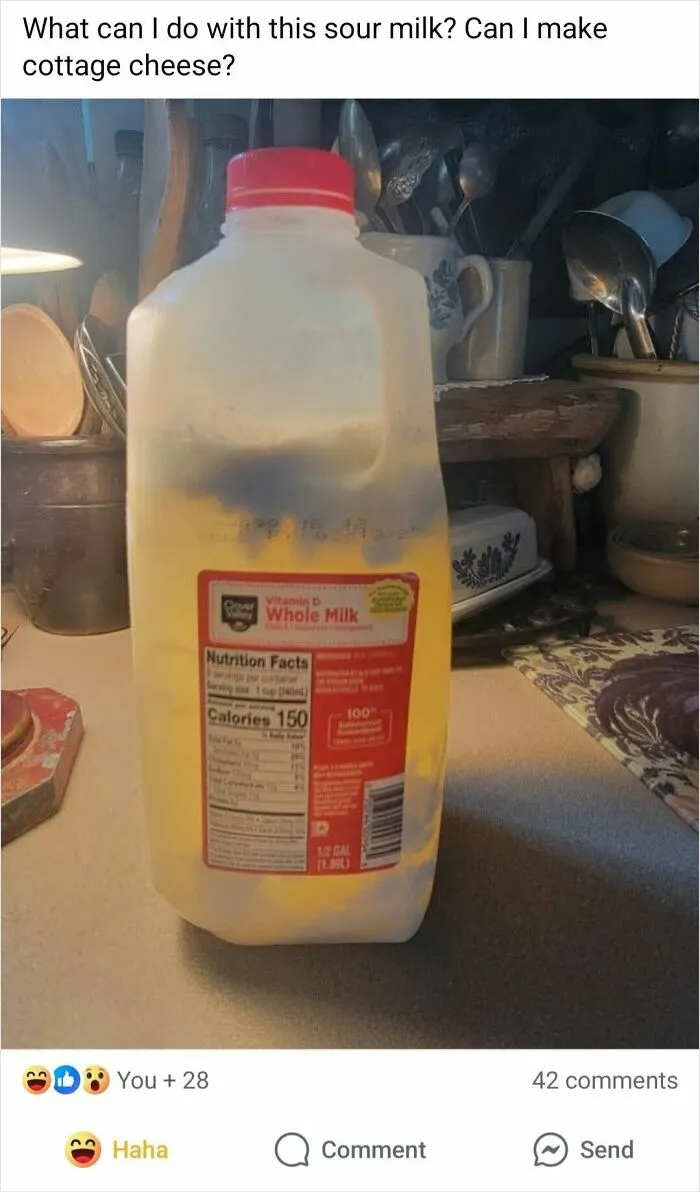 "This Is Why I Don't Do Potlucks": 50 Times Food Looked So Bad, People Just Had To Shame It (New Pics)
