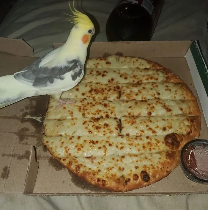 20 Personas tan asqueadas por estas comidas que tuvieron que compartirlas (nuevas fotos)