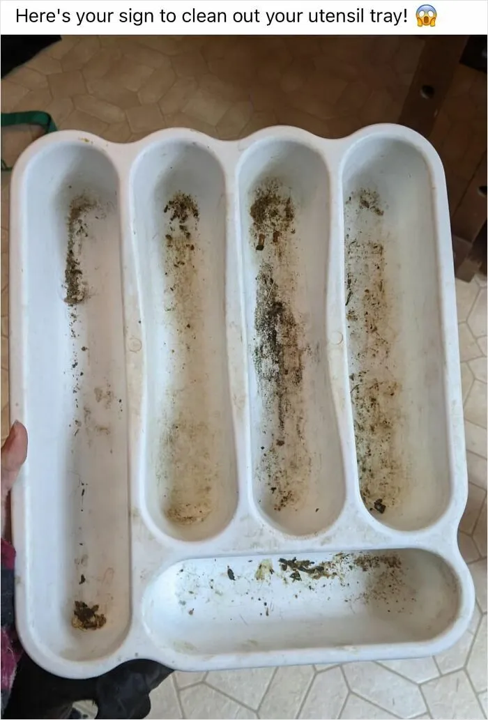 "This Is Why I Don't Do Potlucks": 50 Times Food Looked So Bad, People Just Had To Shame It (New Pics)