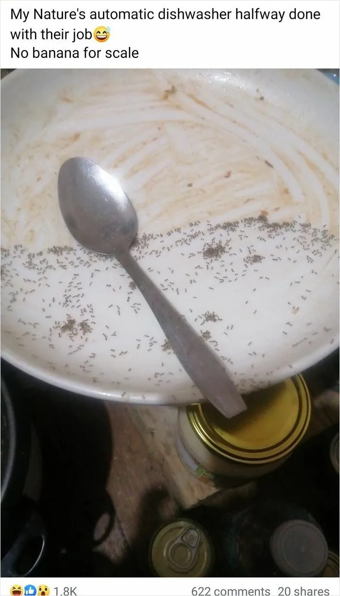 "This Is Why I Don't Do Potlucks": 50 Times Food Looked So Bad, People Just Had To Shame It (New Pics)