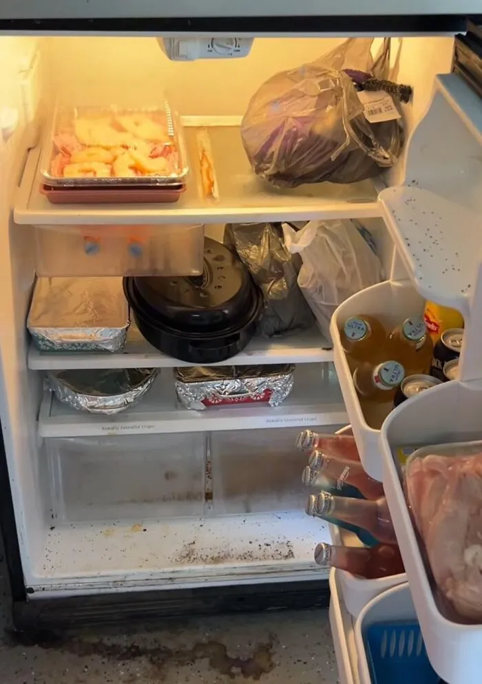 20 Personas tan asqueadas por estas comidas que tuvieron que compartirlas (nuevas fotos)