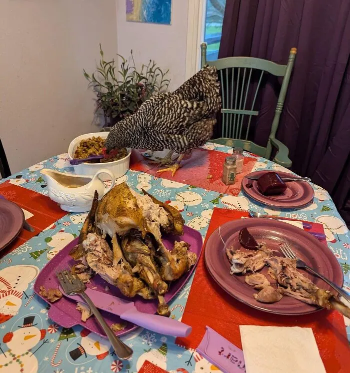 20 Personas tan asqueadas por estas comidas que tuvieron que compartirlas (nuevas fotos)