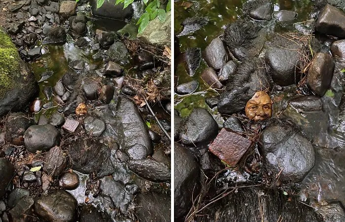 Esto está en el arroyo que corre detrás de mi casa