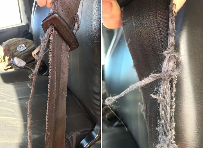 Was Sent Home And Recorded As “Refusing To Work” Because I Told My Boss This Seatbelt Was Unsafe And Illegal. Would You Have Refused To Drive?