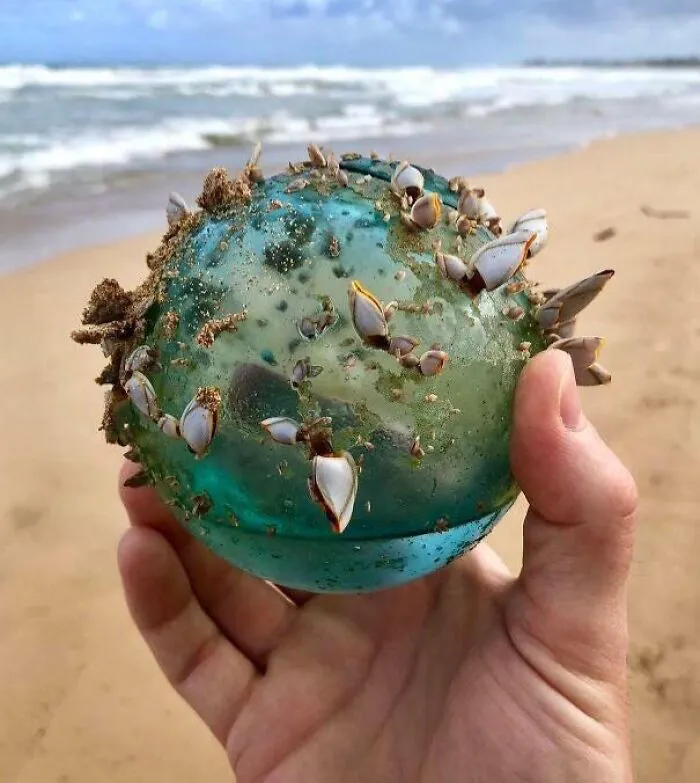Found By The Ocean