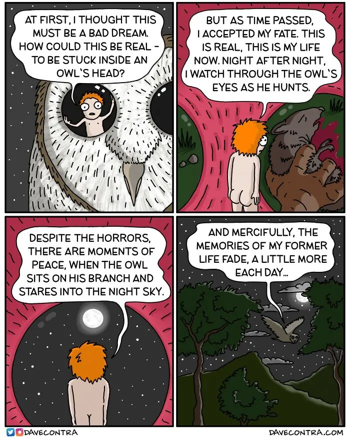 24 Darkly Twisted Comics By Dave Contra That Might Make You Laugh, Then Stare Into The Void (New Pics)