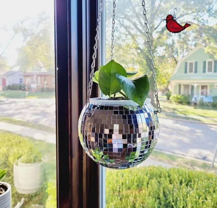 Your Favorite Green Pal Can Finally Live Its Best Studio 54 Fantasy Life Inside A Dazzling <a Style="Display:inline;" Href="Https://Www.amazon.com/Scandinordica-Disco-Ball-Planter-Hanging/Dp/B08y1yvl7r?ie=utf8&th=1&linkcode=ll1&tag=bpbeaver-20&linkid=d853033f4cb5b3ef03f6f7c9de6c6e24&language=en_us&ref_=as_li_ss_tl" Target="_blank"><span Style="Font: Inherit; Color: #d74b1f;"> Hanging Disco Ball Planter </Span>