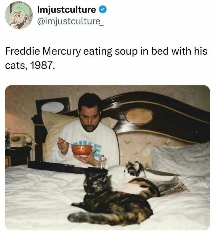50 Fascinating Posts And Stories For The Curious Among Us
