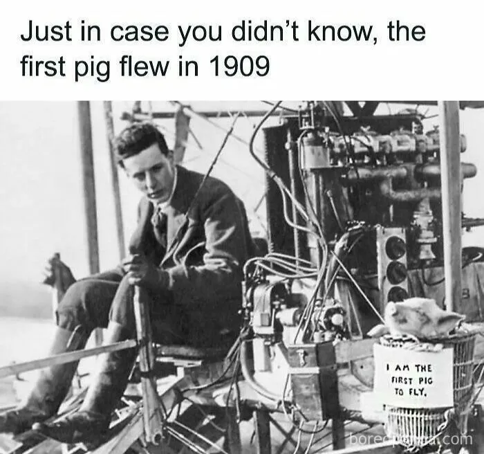 50 Memes That Make Us Laugh About How Ridiculous History Can Be