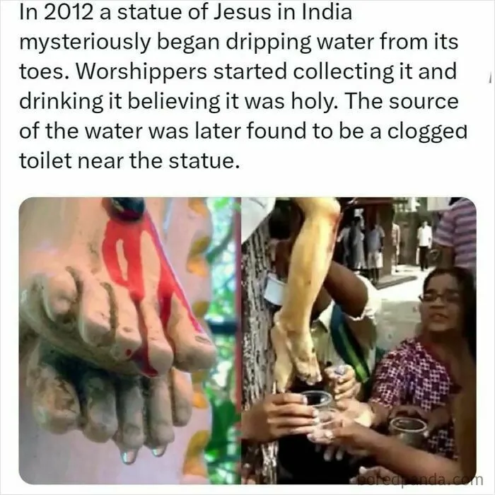 30 Surprising Random Facts You Didn’t Know You Needed, Shared On This IG Page