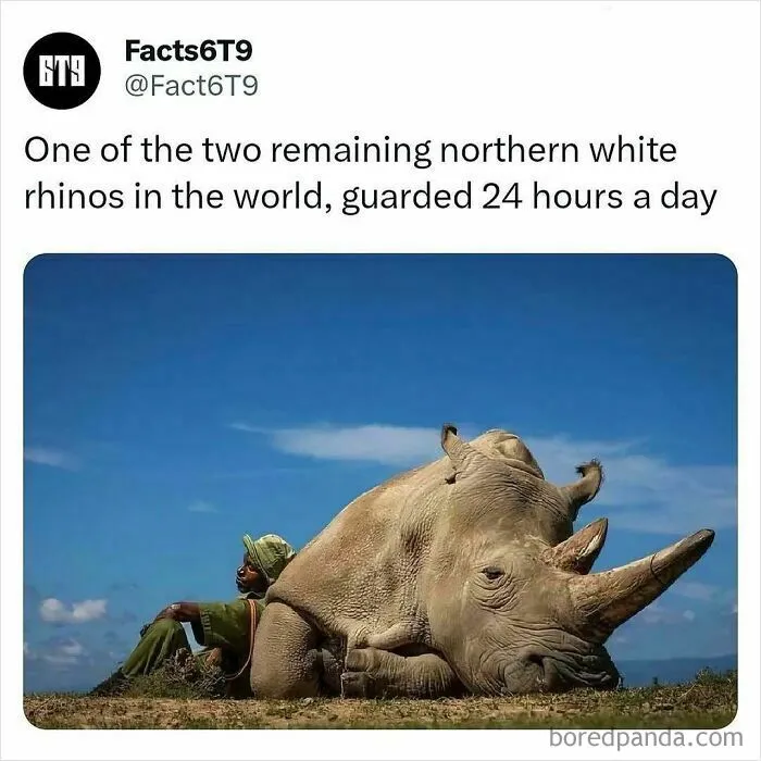 30 Surprising Random Facts You Didn’t Know You Needed, Shared On This IG Page