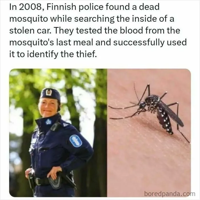 30 Surprising Random Facts You Didn’t Know You Needed, Shared On This IG Page