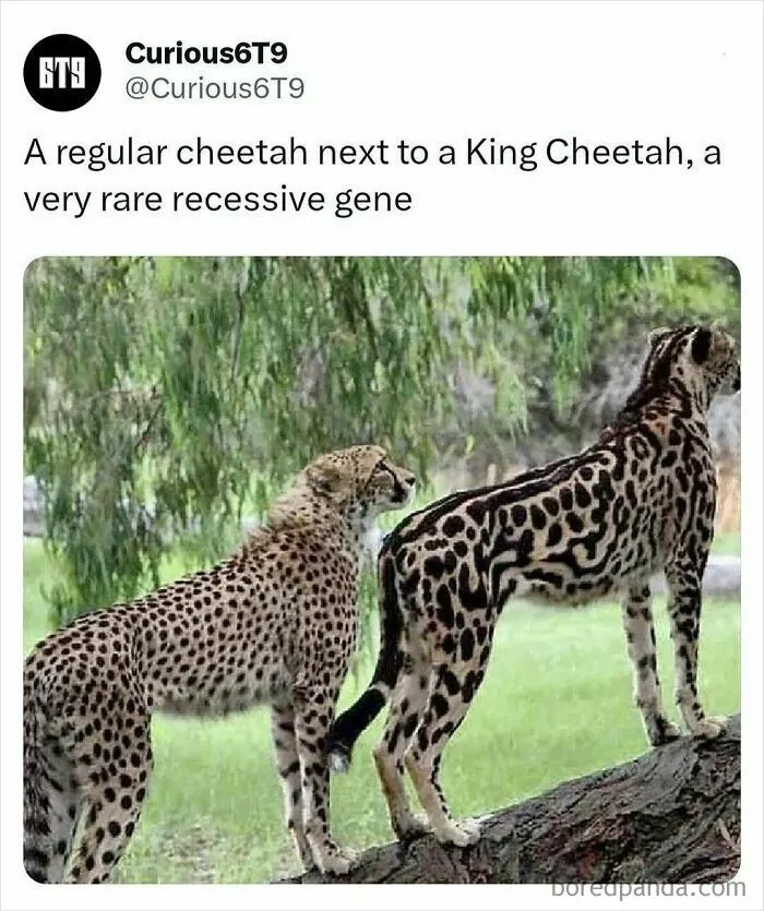 30 Surprising Random Facts You Didn’t Know You Needed, Shared On This IG Page