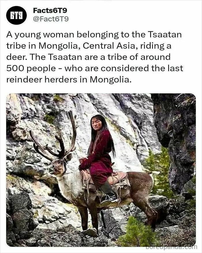 30 Surprising Random Facts You Didn’t Know You Needed, Shared On This IG Page