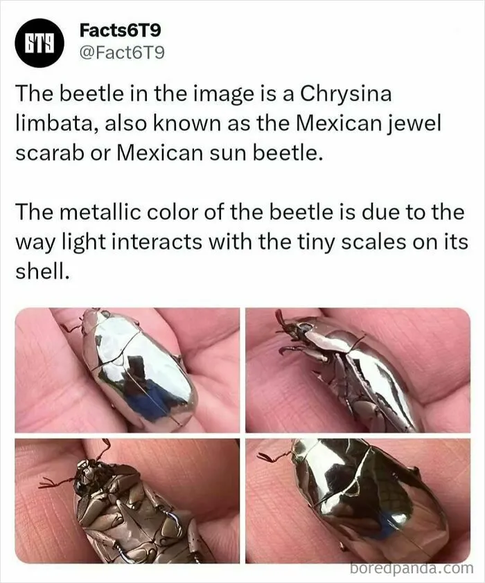 30 Surprising Random Facts You Didn’t Know You Needed, Shared On This IG Page