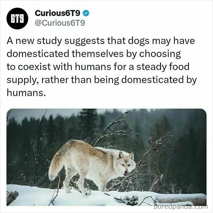30 Surprising Random Facts You Didn’t Know You Needed, Shared On This IG Page