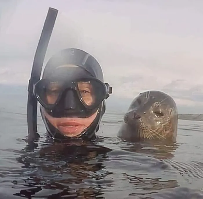 50 Of The Most Hilarious And Cute 'Important Animal Images' To Brighten Your Day (New Pics)