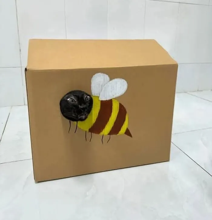 Gato negro asomando su cabeza en caja decorada como abeja, imagen importante de animales que causa sonrisa.