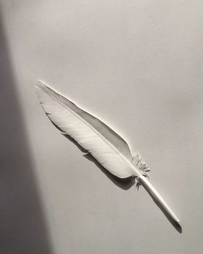 Simple Sheets Of Paper Transformed Into Jaw-Dropping Works Of Art (30 Pics)