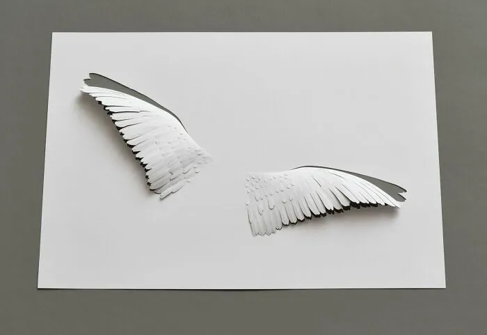 Simple Sheets Of Paper Transformed Into Jaw-Dropping Works Of Art (30 Pics)