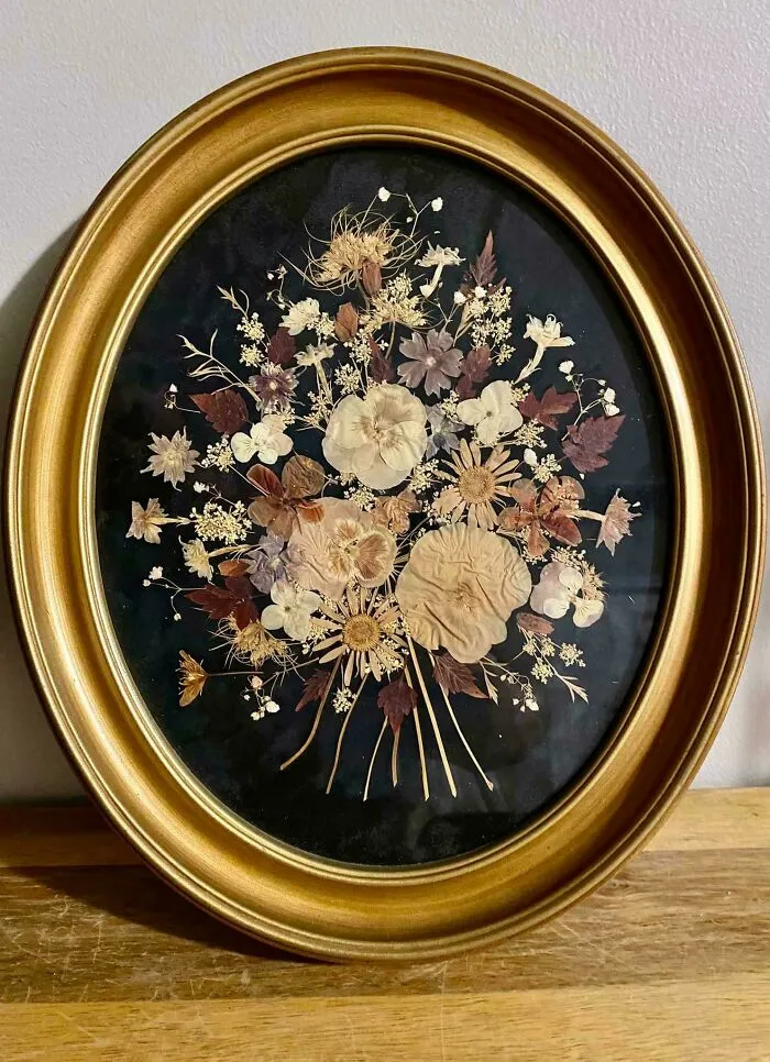 Pressed Flowers Framed Found At My Local Goodwill