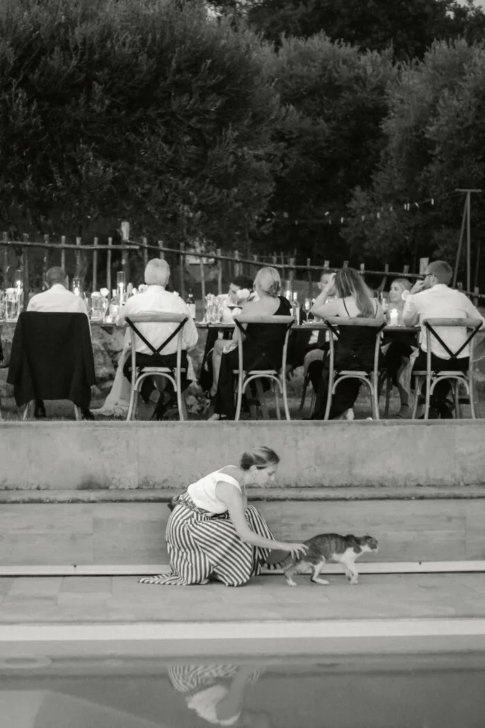 Every Wedding Has That One Guest Who Prefers Cats