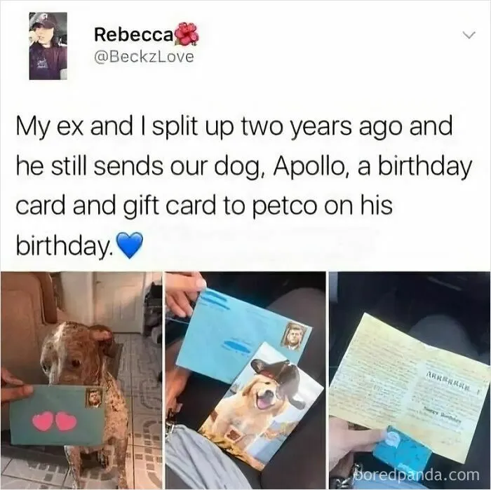 If The World Feels Like A Miserable Place Right Now, These 50 Dog Memes Might Help You Heal