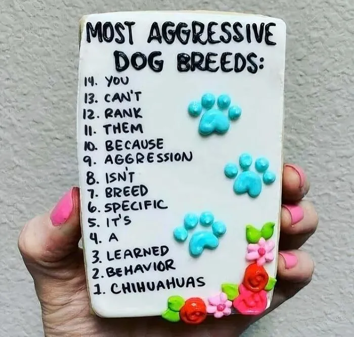 If The World Feels Like A Miserable Place Right Now, These 50 Dog Memes Might Help You Heal