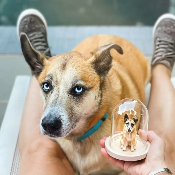 35 Adorable Mini Pets Made Of Felt By This Talented Artist