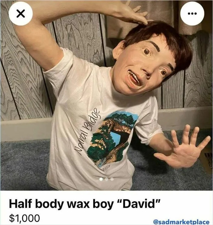 “Sad Marketplace”: 50 Of The Most Unhinged Treasures From Facebook Marketplace