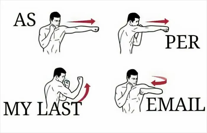 Boxing cartoon depicting "As Per My Last Email," humorously illustrating relatable work meme concept.