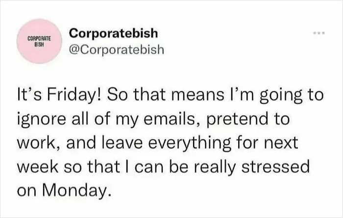 Funny relatable meme about work stress, avoiding emails, and pretending to work on a Friday.