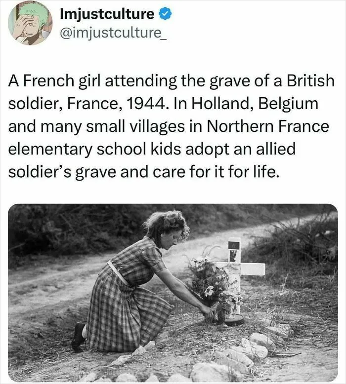 50 Fascinating Posts And Stories For The Curious Among Us