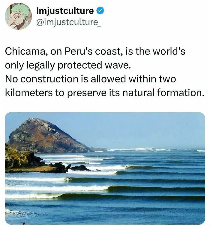 Interesting-Culture-Posts