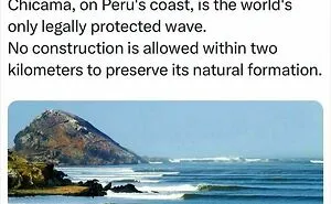 50 Fascinating Posts And Stories For The Curious Among Us