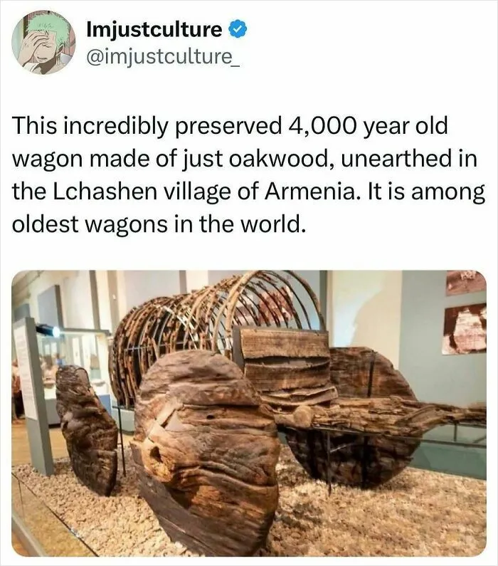 Interesting-Culture-Posts