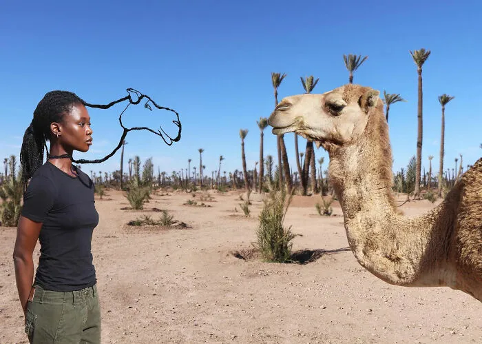 Woman with hair sculpted into camel shape facing a real camel.