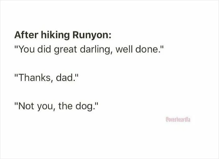 50 Overheard Conversations In LA That Deserve A Special Place On The Internet