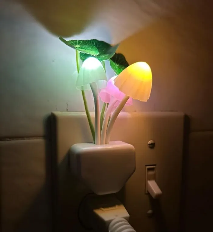 Add A Touch Of Whimsical Forest Magic To Your Bedroom With This Gently Glowing <a Style="Display:inline;" Href="Https://Www.amazon.com/Sensor-Night-Light-Changing-Mushroom/Dp/B00re0m1o2?ie=utf8&linkcode=ll1&tag=bpapple-20&linkid=b411e338ecf73a2b2e6f3de2748b8448&language=en_us&ref_=as_li_ss_tl" Target="_blank"><span Style="Font:inherit;color:#d74b1f;"> Mushroom Nightlight</Span>