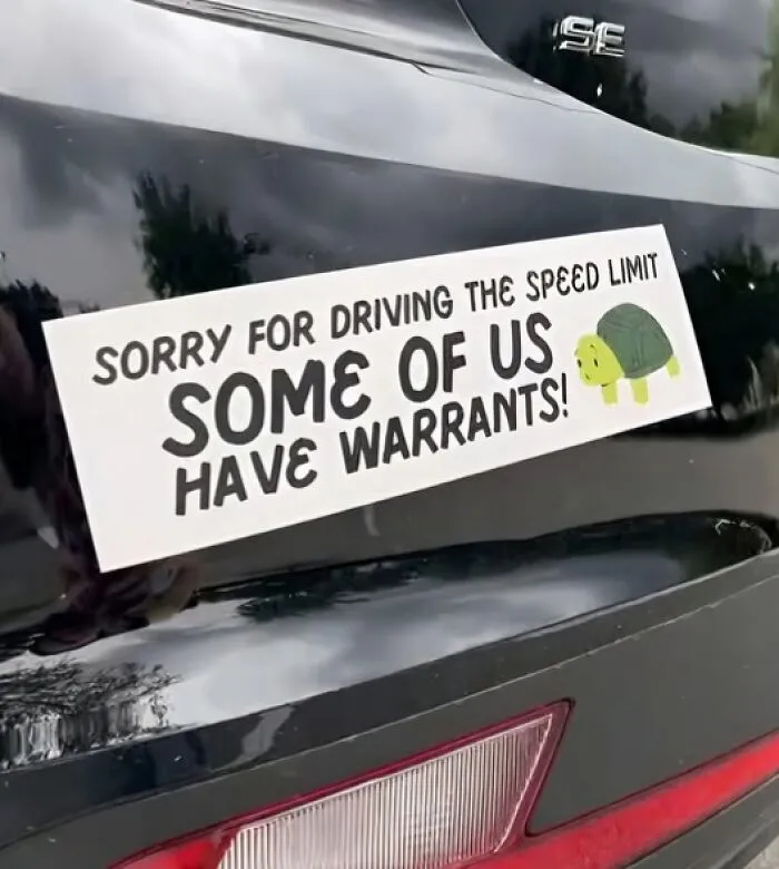 Bumper sticker with turtle and text for a daily dose of funny memes: "Sorry for driving the speed limit, some of us have warrants!"