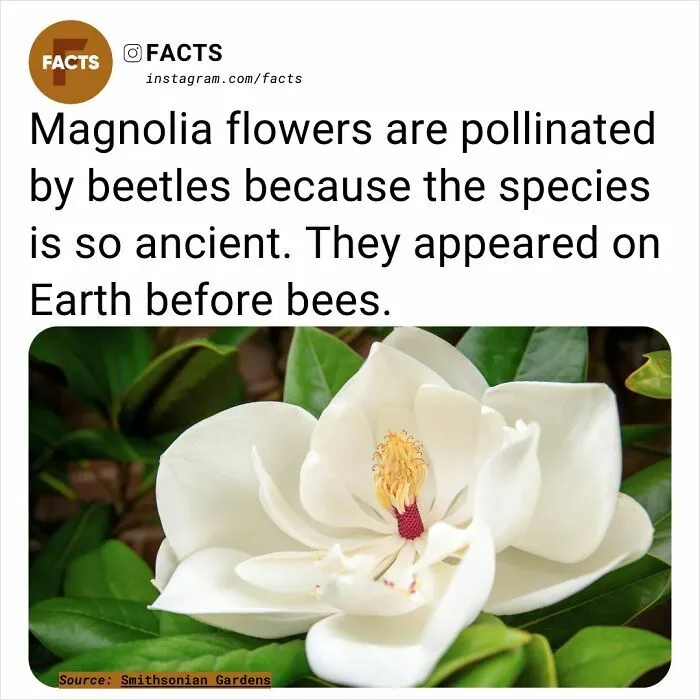 50 Of The Most Interesting And Fascinating Facts (New Pics)