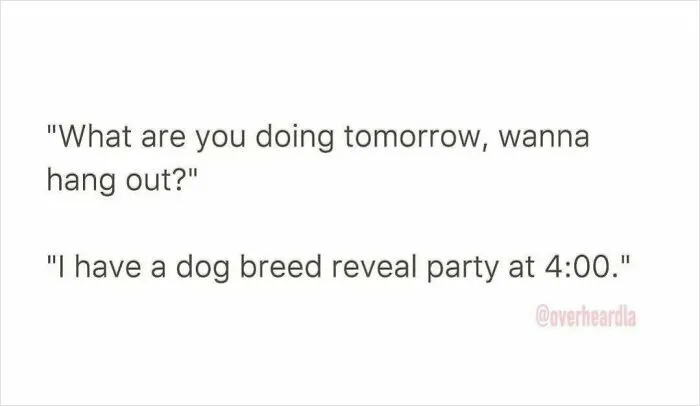 Text conversation example overheard in LA streets sharing a funny dog breed reveal party invitation.