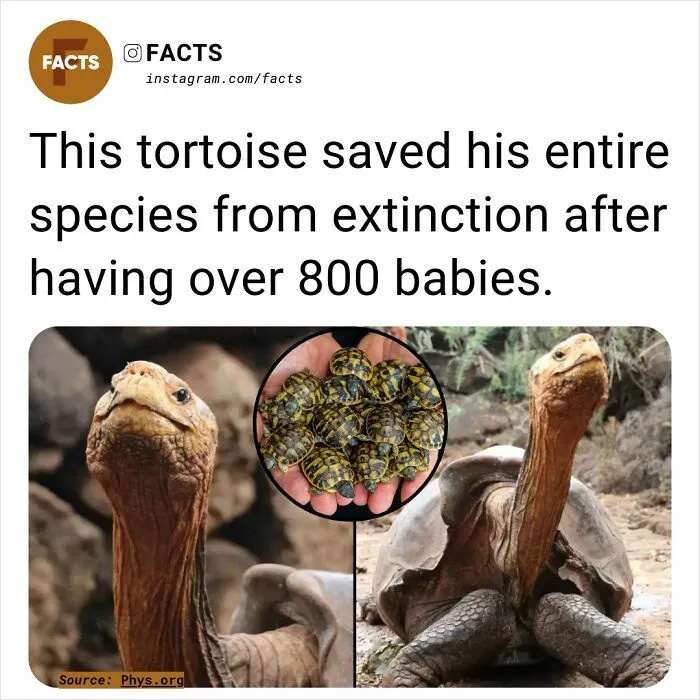 50 Of The Most Interesting And Fascinating Facts (New Pics)