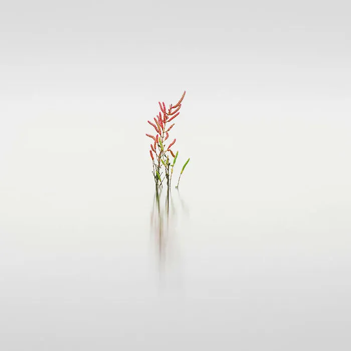 2nd Place Winner: Kanso By Alessandro Tagliapietra
